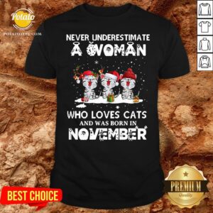 Hot Never Underestimate A Woman Who Loves Cats And Was Born In November Christmas Shirt