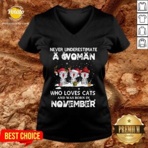 Alternative view of Hot Never Underestimate A Woman Who Loves Cats And Was Born In November Christmas Shirt