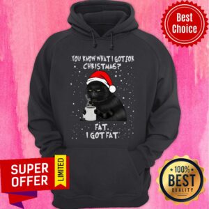 Alternative view of Black Cat You Know What I Got For Christmas Fat I Got Fat Shirt