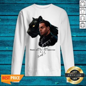 Alternative view of RIP Black Panther's Chadwick Boseman 1977 2020 T-Shirt