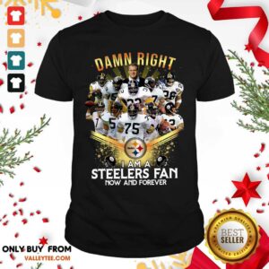 Cool 2020 Damn Right I Am A Steelers Fan Now And Forever Shirt