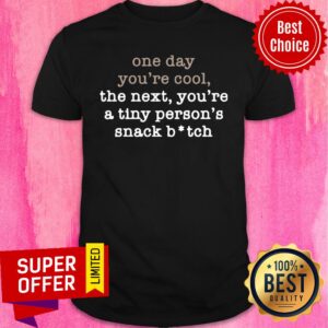 One Day You’re Cool The Next You’re A Tiny Person’s Snack Bitch Shirt