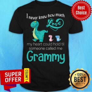 Funny I Never Knew How Much Love Grammy Saurus Shirt