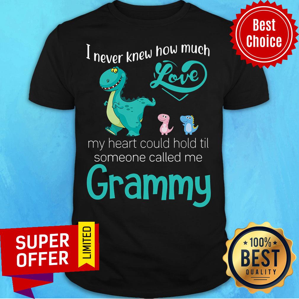 Funny I Never Knew How Much Love Grammy Saurus Shirt