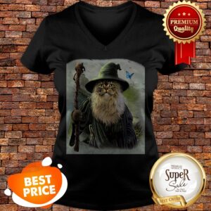 Alternative view of Nice Catdalf Cat Spoof Movie Shirt