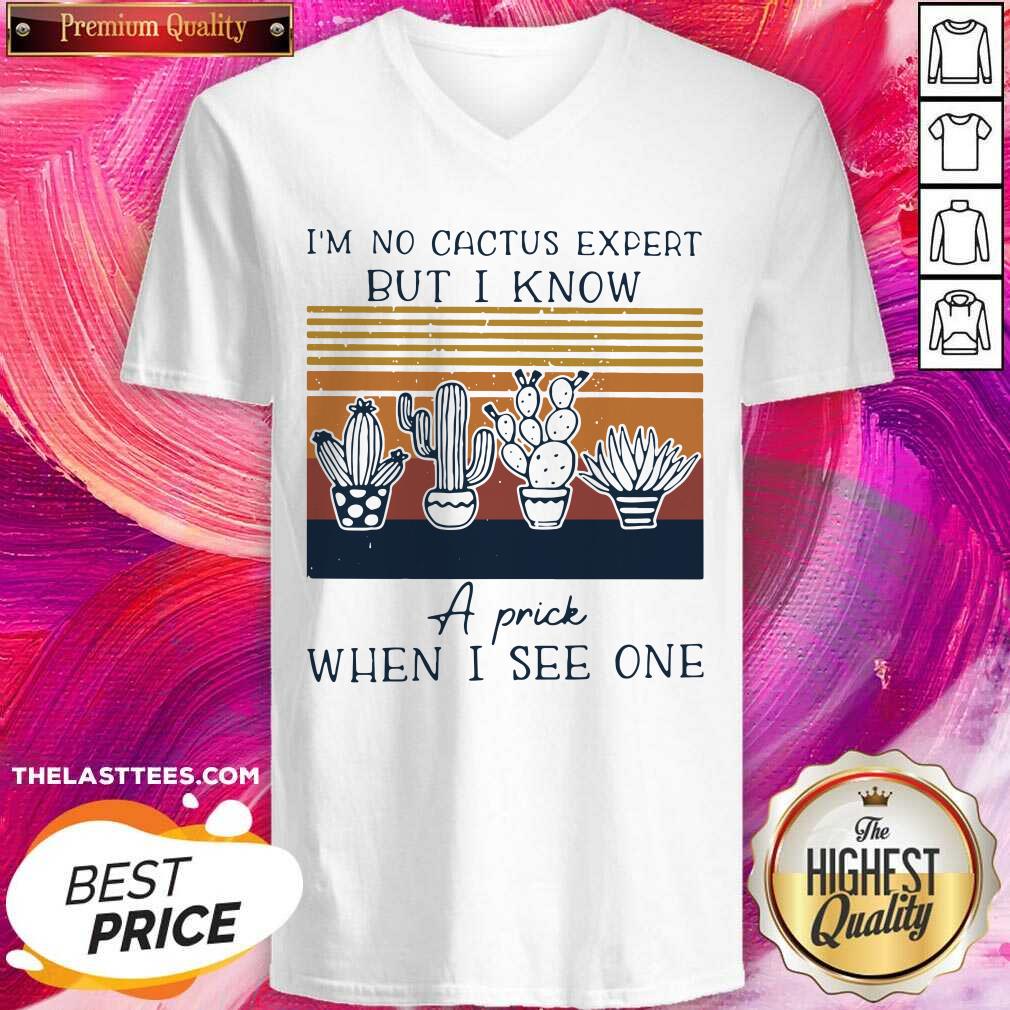 Top Im No Cactus Expert But I Know A Prick When I See One Vintage Shirt - Image 5