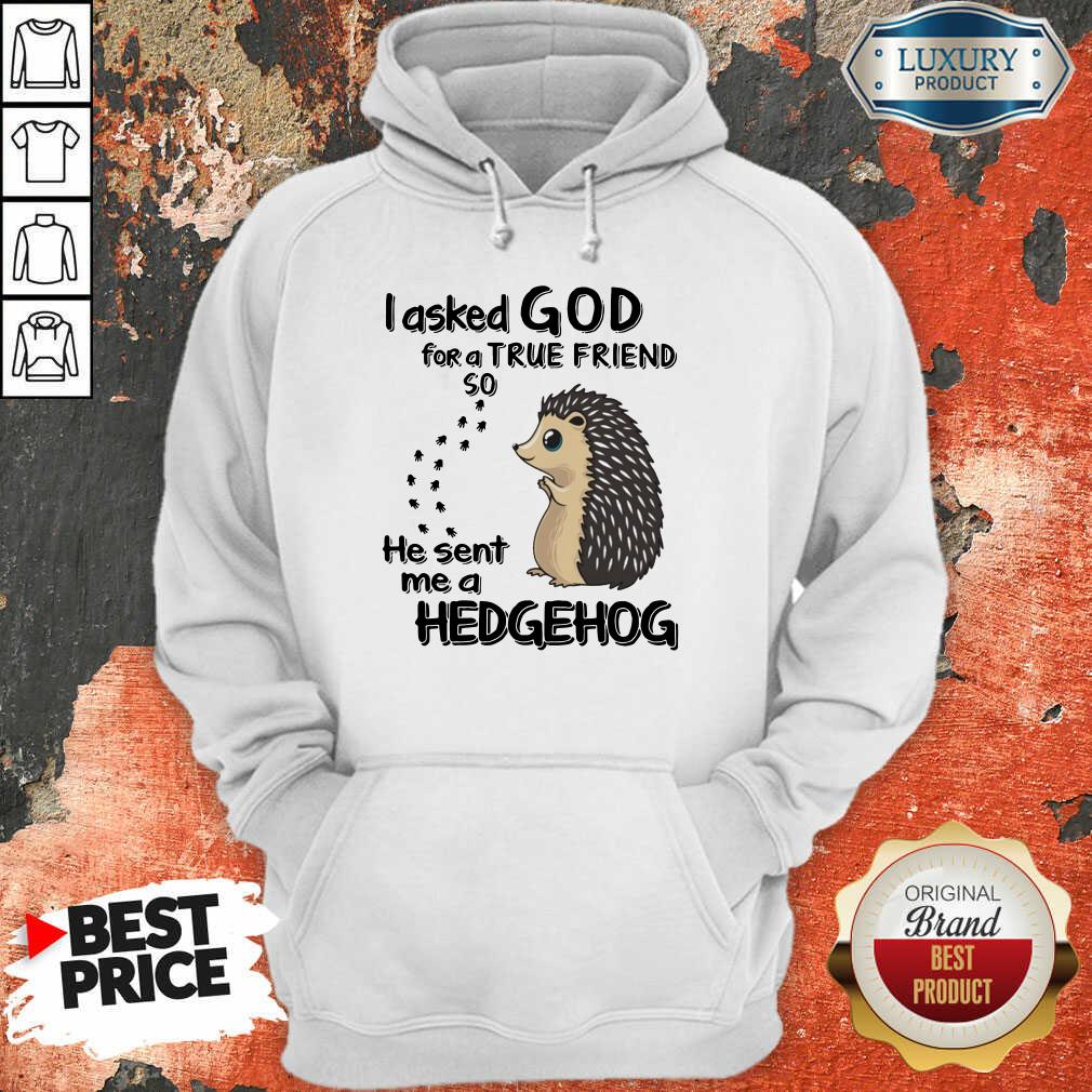 I Asked God A True Friend He Sent A Hedgehog Shirt - Image 5