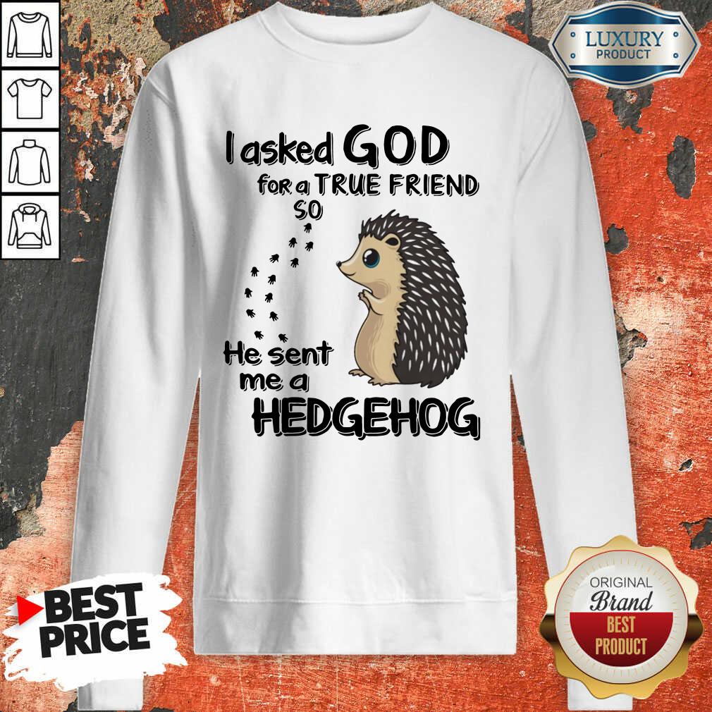 I Asked God A True Friend He Sent A Hedgehog Shirt - Image 4