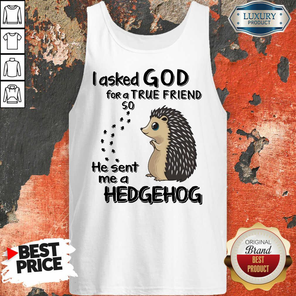 I Asked God A True Friend He Sent A Hedgehog Shirt - Image 3