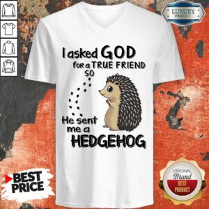 Alternative view of I Asked God A True Friend He Sent A Hedgehog Shirt