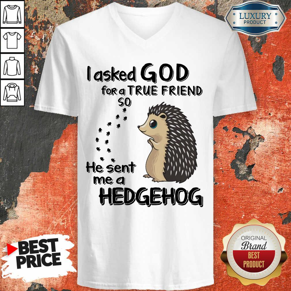 I Asked God A True Friend He Sent A Hedgehog Shirt - Image 2