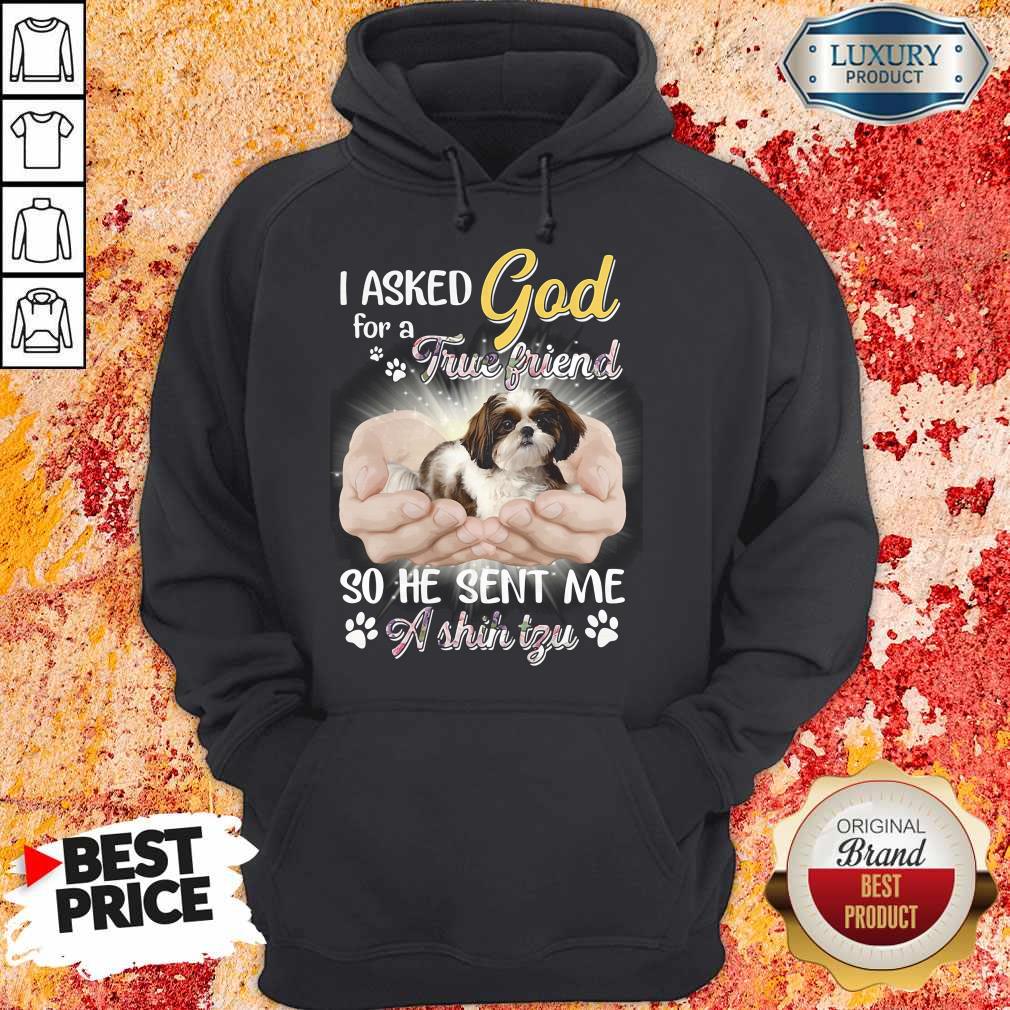 Nice I Asked God For A True Friend So He Sent Me A Shih Tzu Shirt - Image 5