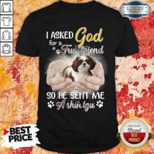 Nice I Asked God For A True Friend So He Sent Me A Shih Tzu Shirt
