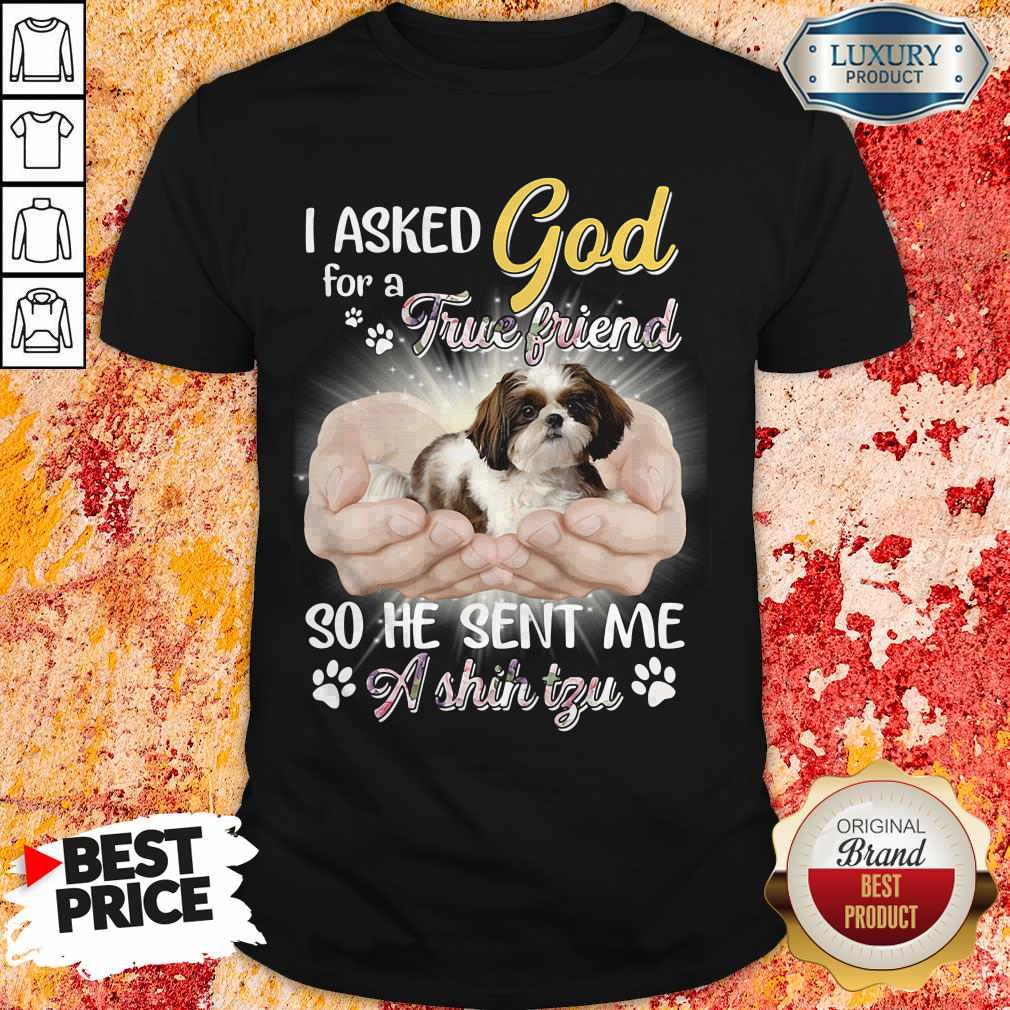 Nice I Asked God For A True Friend So He Sent Me A Shih Tzu Shirt