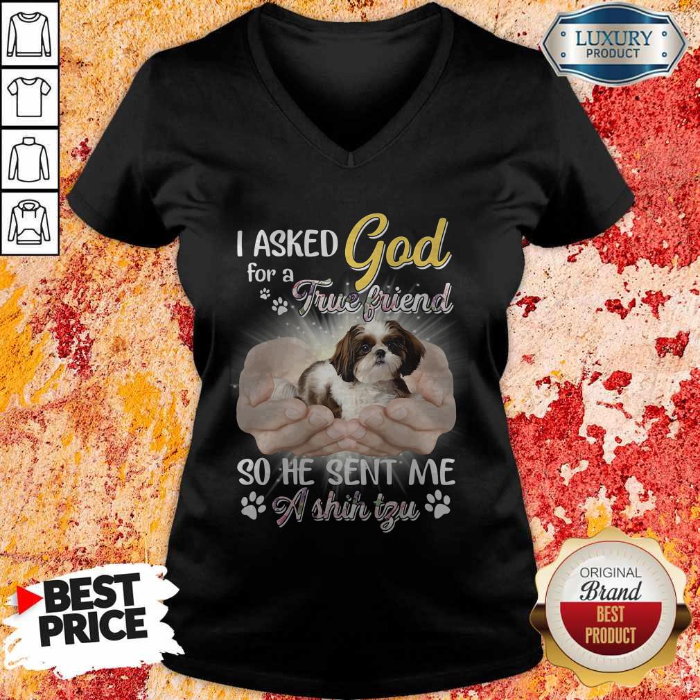 Nice I Asked God For A True Friend So He Sent Me A Shih Tzu Shirt - Image 2