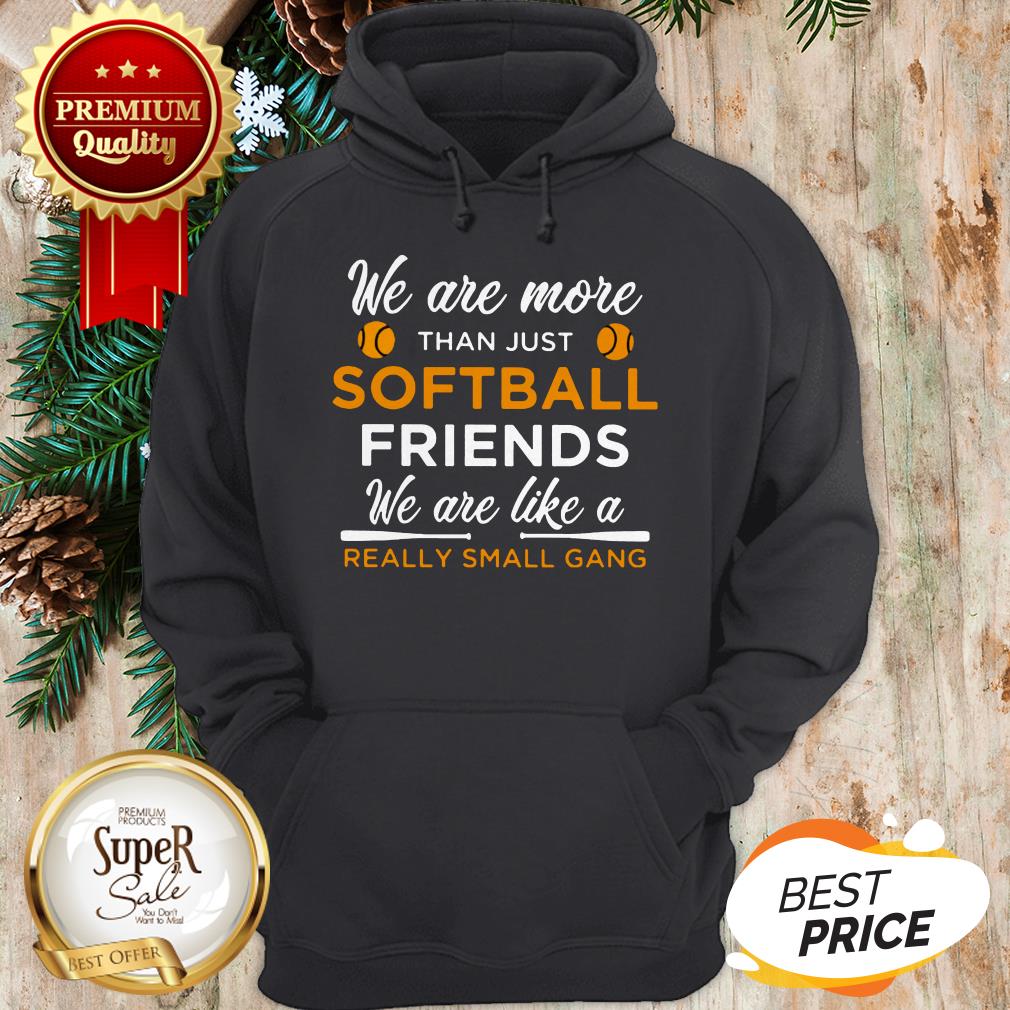 We Are More Than Just Softball Friends Really Small Gang Shirt - Image 5
