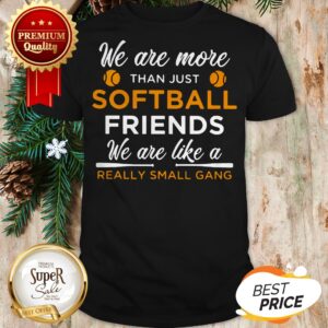 We Are More Than Just Softball Friends Really Small Gang Shirt
