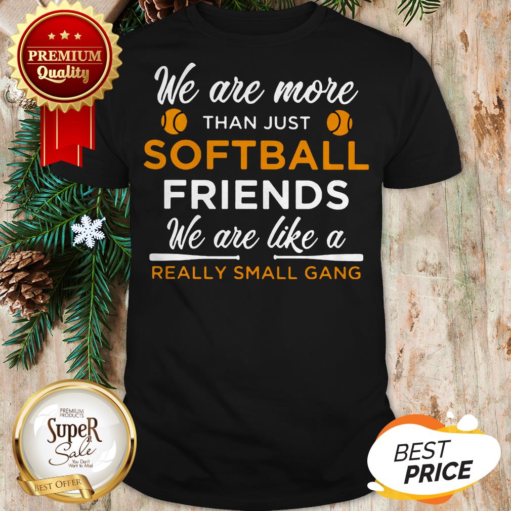We Are More Than Just Softball Friends Really Small Gang Shirt