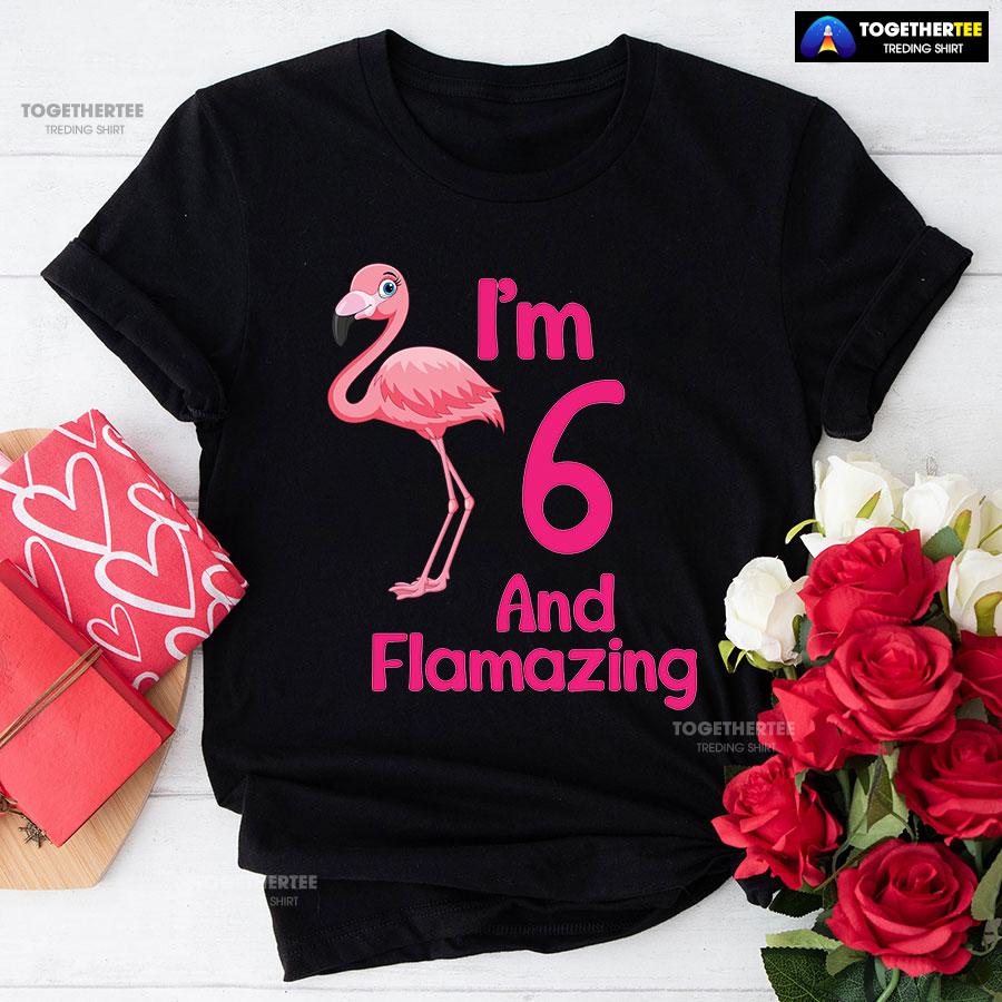 I Am 6 And Flamazing Flamingo 6th Birthday T-Shirt
