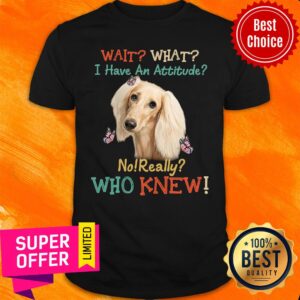 Wait I Have An Attitude Who Knew Shirt