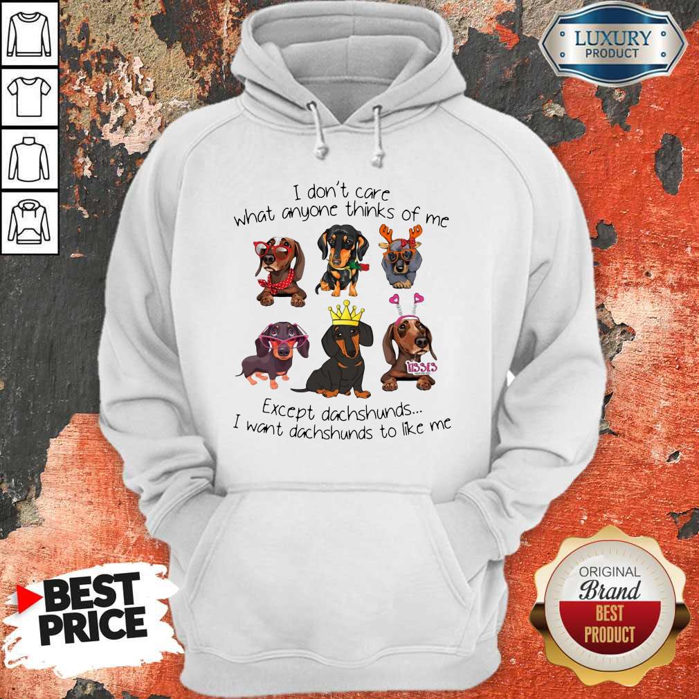 I Don't Care What Anyone Thinks Of Me Except Dachshunds Shirt - Image 2