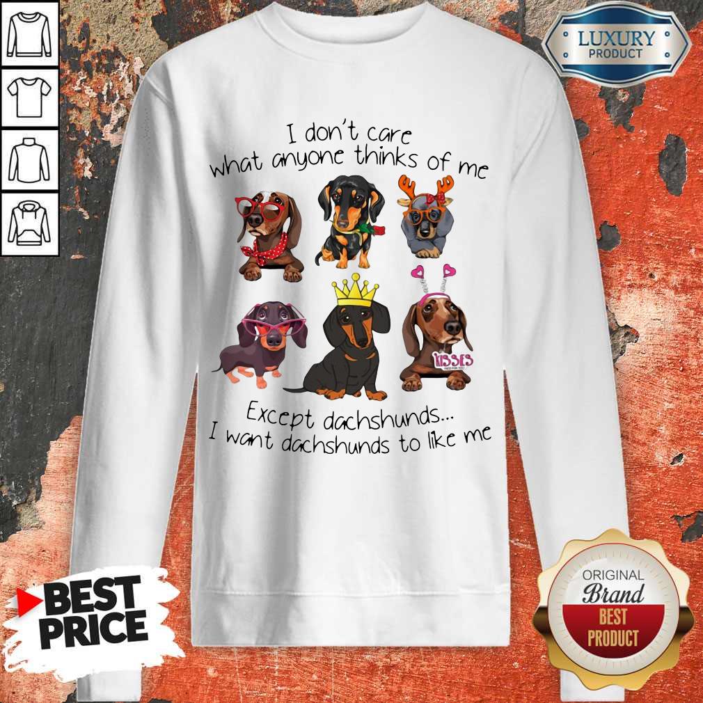 I Don't Care What Anyone Thinks Of Me Except Dachshunds Shirt - Image 5