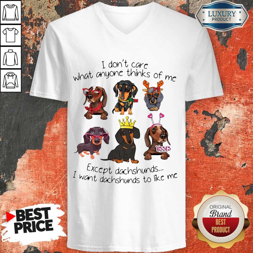I Don't Care What Anyone Thinks Of Me Except Dachshunds Shirt - Image 3