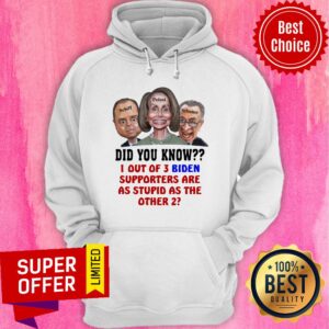 Alternative view of Schiff Pelosi Schumer Did You Know 1 Out Of 3 Biden Shirt