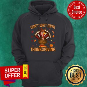 Alternative view of Stuffed With Cuteness Turkey Chicken Shirt