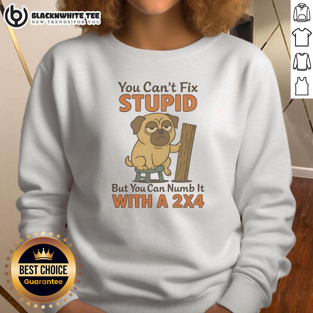 Top Pug You Can't Fix Stupid But You Can Numb It With A 2×4 T-Shirt - Image 5