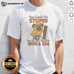 Top Pug You Can't Fix Stupid But You Can Numb It With A 2×4 T-Shirt