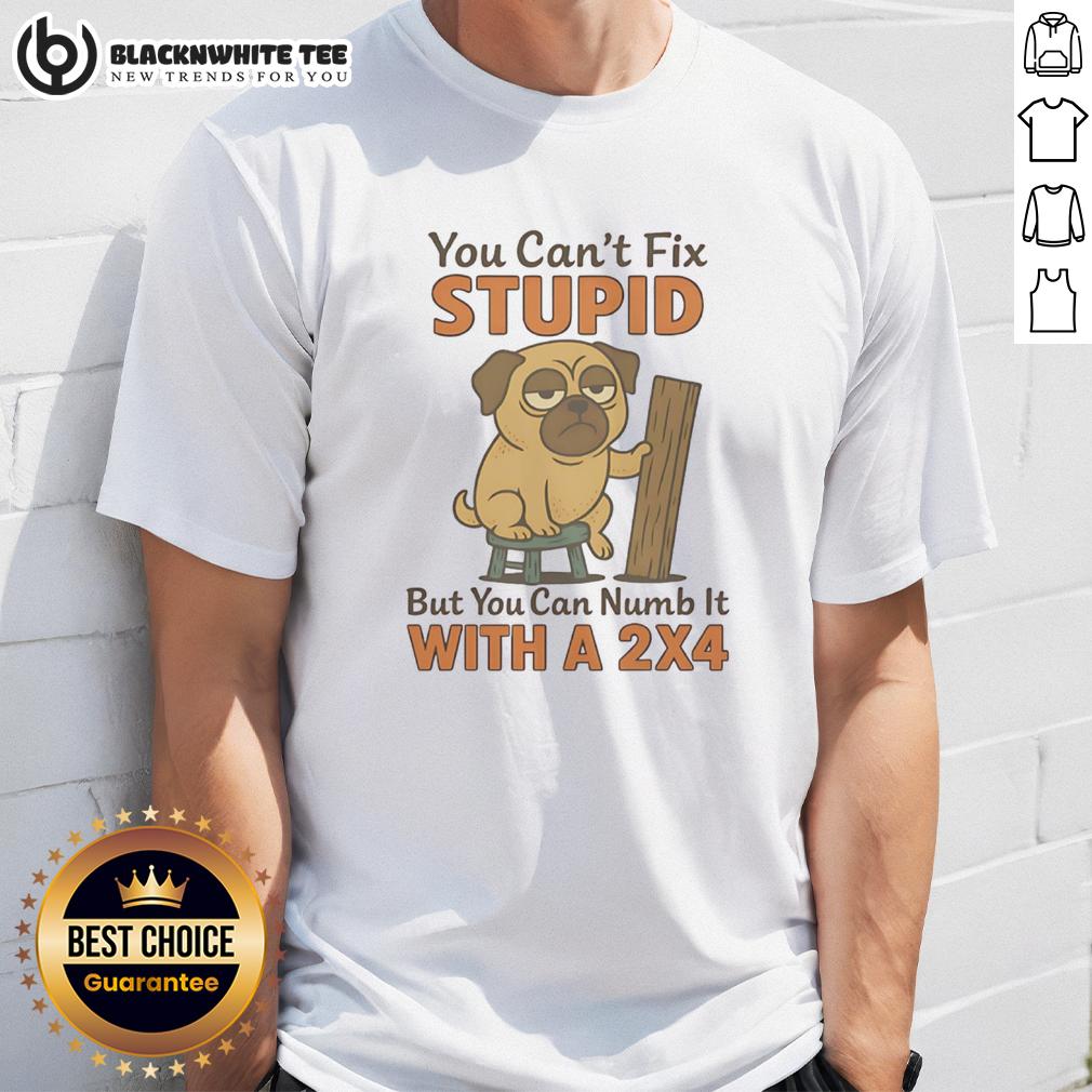 Top Pug You Can't Fix Stupid But You Can Numb It With A 2×4 T-Shirt