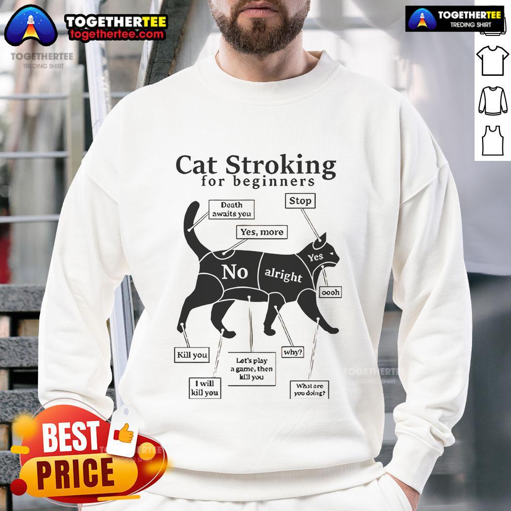 Top Cat Stroking For Beginners T-Shirt - Image 5