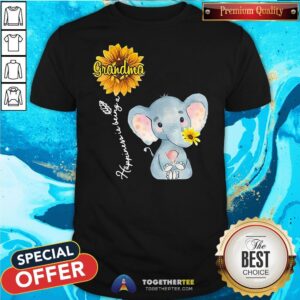 Perfect Grandma Happiness Is Being A Sunshine Flower Shirt