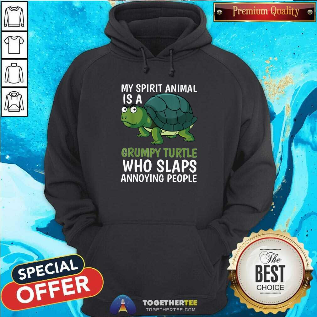 Awesome My Spirit Animal Is Grumpy Turtle Cartoon Shirt - Image 5