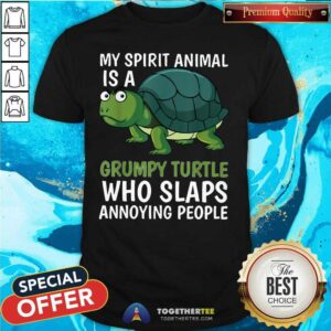 Awesome My Spirit Animal Is Grumpy Turtle Cartoon Shirt
