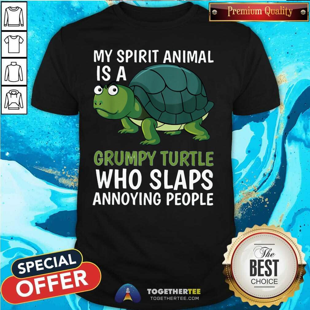 Awesome My Spirit Animal Is Grumpy Turtle Cartoon Shirt