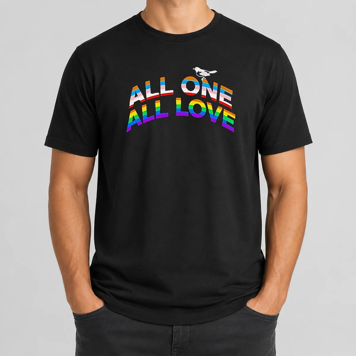 Nice All One All Love LGBTQ Shirt