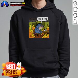 Alternative view of Good Stuffed Donkey This Is Fine Meme T-Shirt