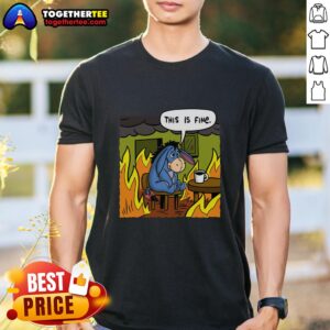Good Stuffed Donkey This Is Fine Meme T-Shirt