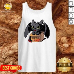 Alternative view of Funny Adopt This Dragon Shirt