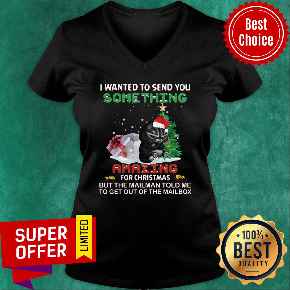 Black Cat I Wanted To Send You Something Amazing For Christmas Shirt - Image 2