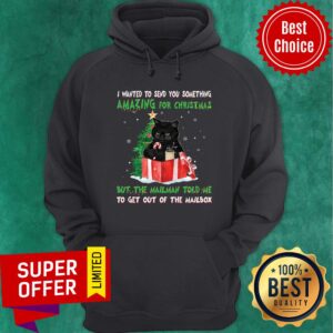 Alternative view of Cat I Wanted Send You Something Amazing For Christmas But The Mailman Told Me Shirt