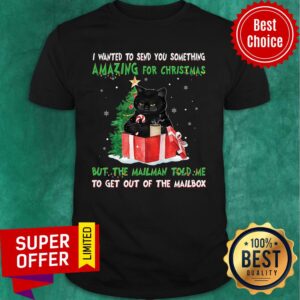 Cat I Wanted Send You Something Amazing For Christmas But The Mailman Told Me Shirt