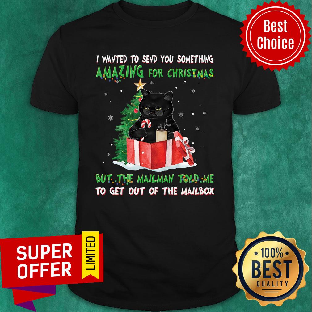 Cat I Wanted Send You Something Amazing For Christmas But The Mailman Told Me Shirt