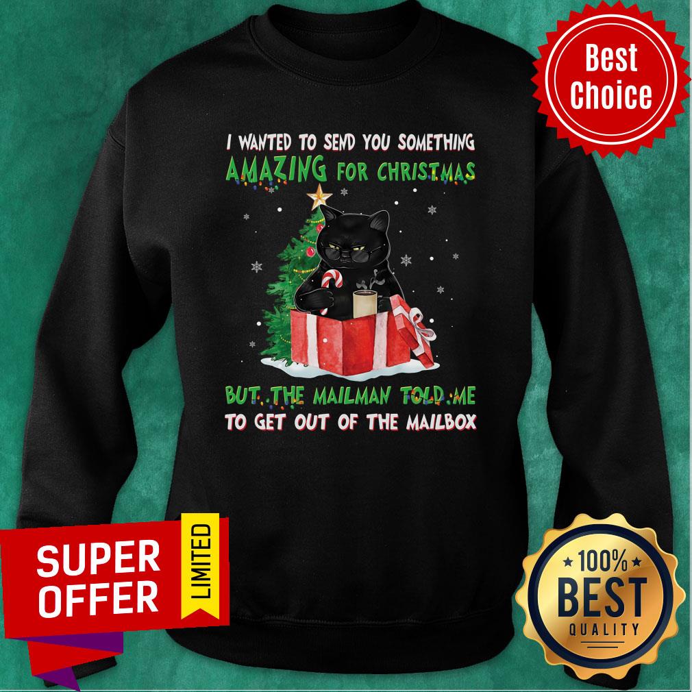 Cat I Wanted Send You Something Amazing For Christmas But The Mailman Told Me Shirt - Image 5
