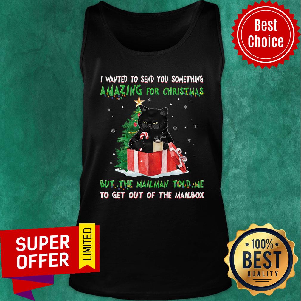 Cat I Wanted Send You Something Amazing For Christmas But The Mailman Told Me Shirt - Image 4