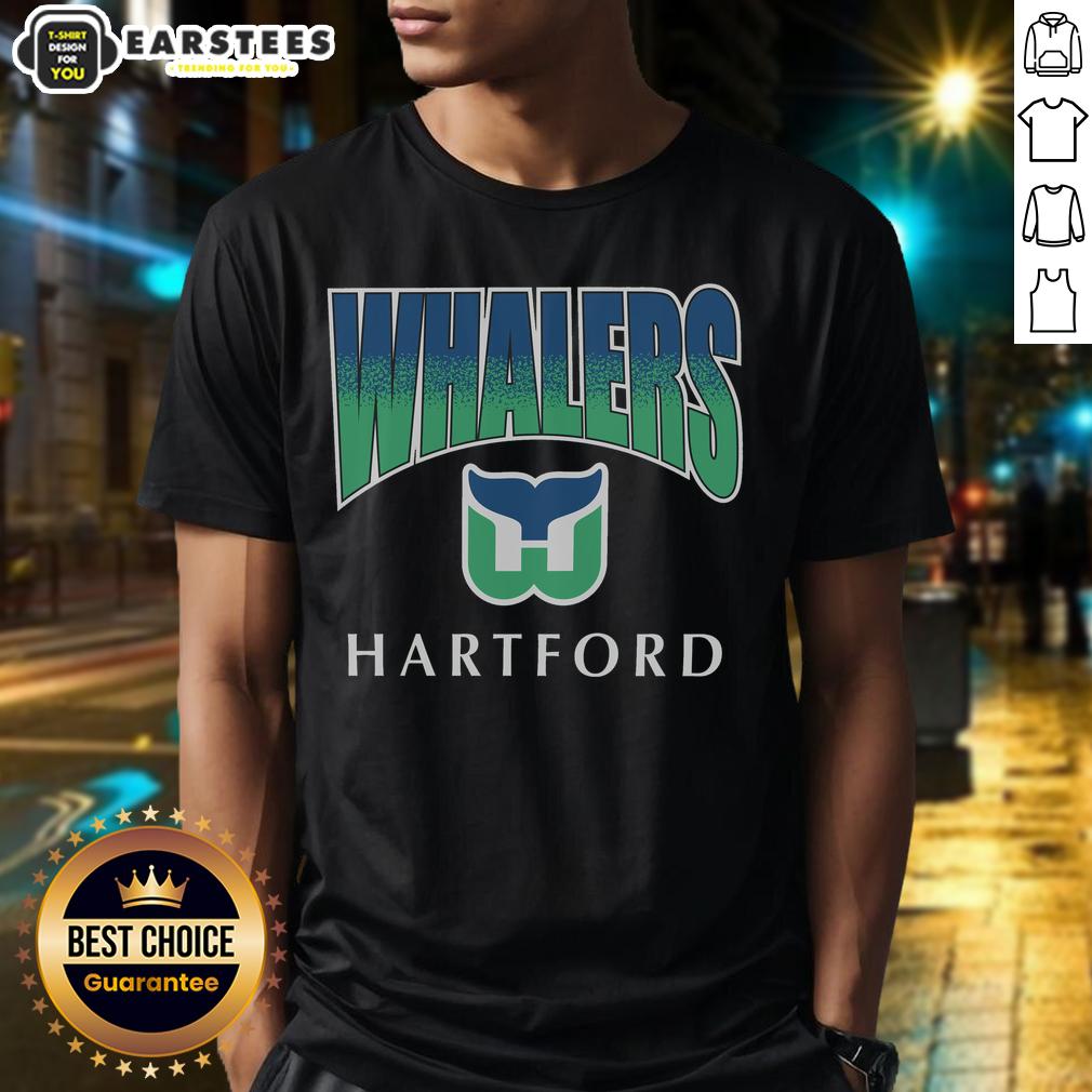 Awesome Hartford Whalers Vintage Sweep Down T-Shirt