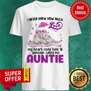 Never Knew How Much Love My Heart Could Hold Till Someone Called Me Auntie Shirt