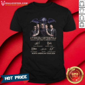 Offical Avenged Sevenfold Life Is But A Dream North American Tour 2024 T-Shirt
